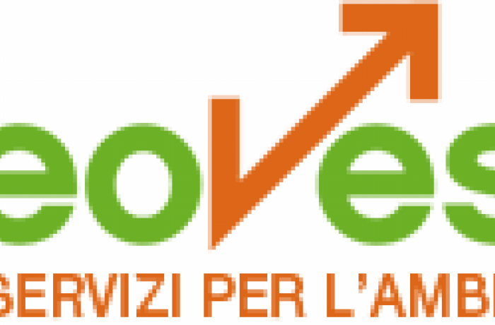 LOGO GEOVEST